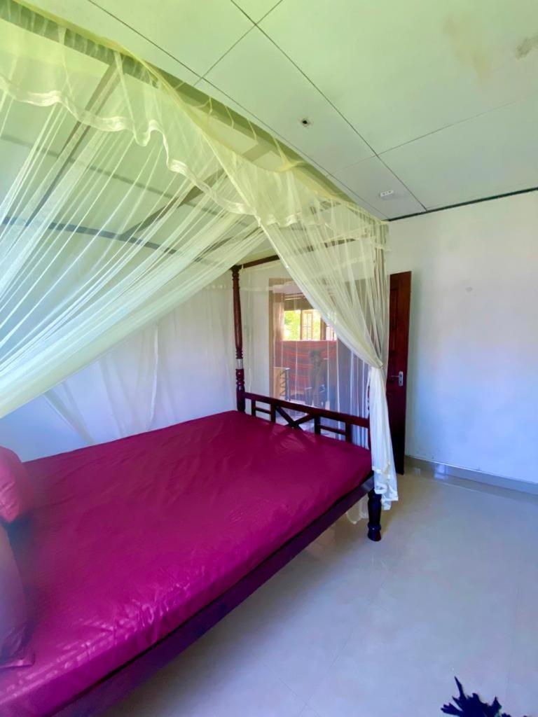 Summer House Mirissa Luaran gambar